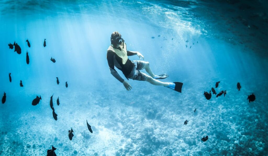 descubre el buceo canarias paraisos submarinos a explorar