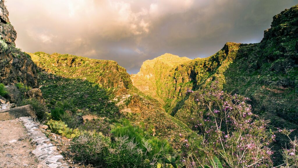 descubriendo el barranco del infierno en tenerife