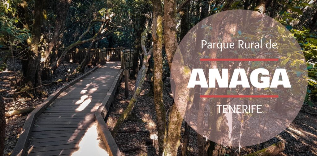 descubriendo el parque rural de anaga guia esencial