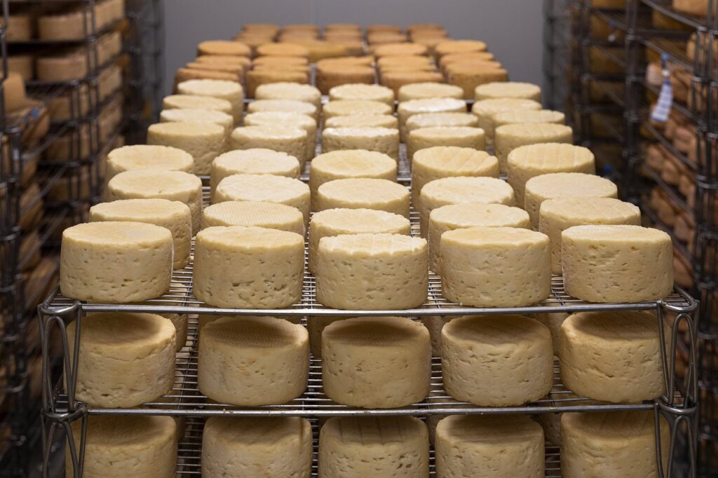 descubriendo el sabor unico del queso canario
