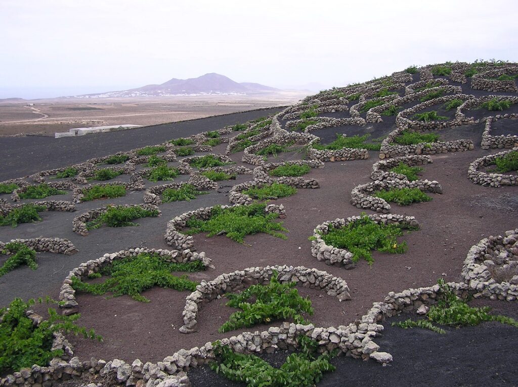 descubriendo la geria entre vinedos y paisajes de lanzarote