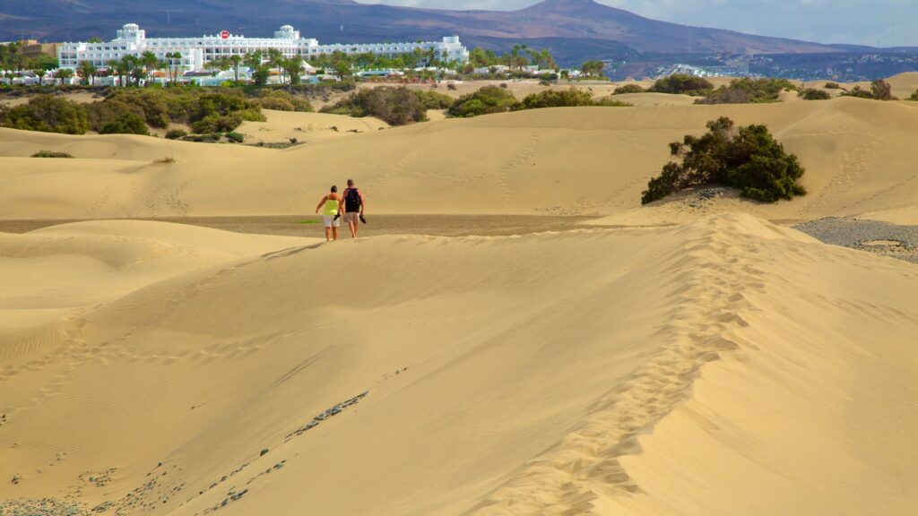 desierto canarias explorando las dunas de maspalomas