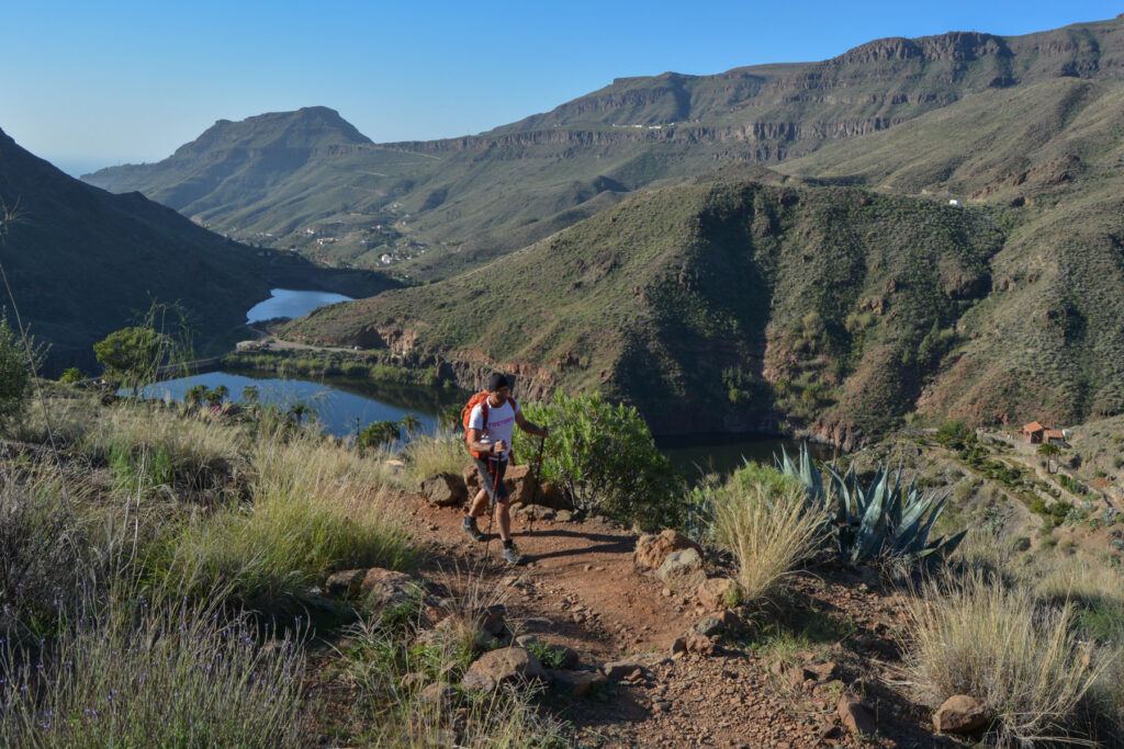 explorando ayagaures el corazon verde de gran canaria