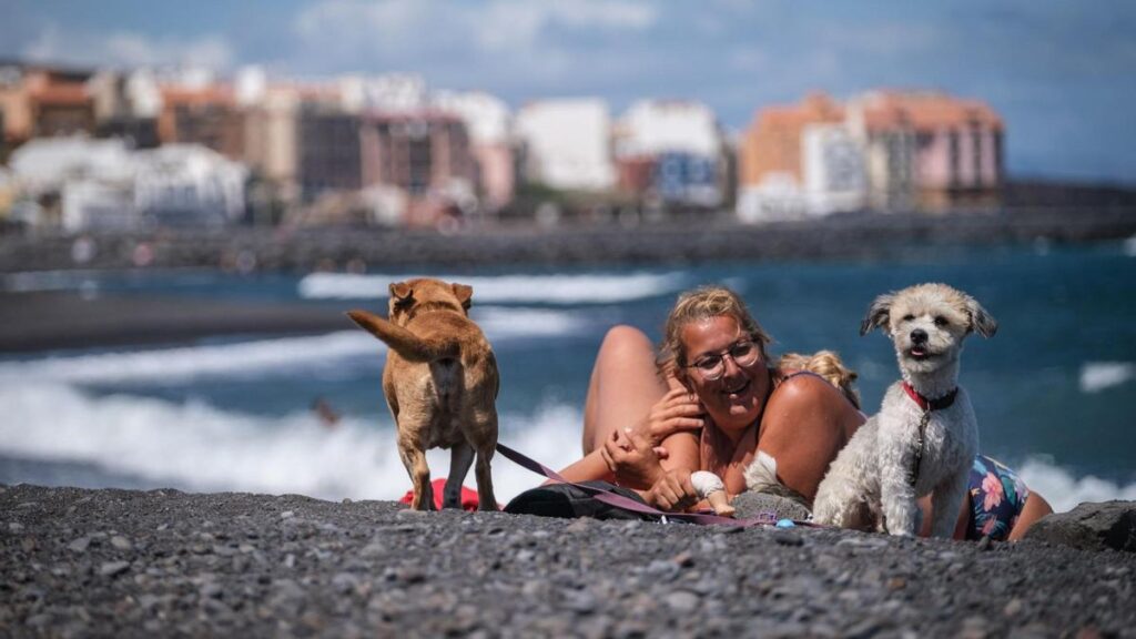 guia actualizada de playas de perros tenerife 2023