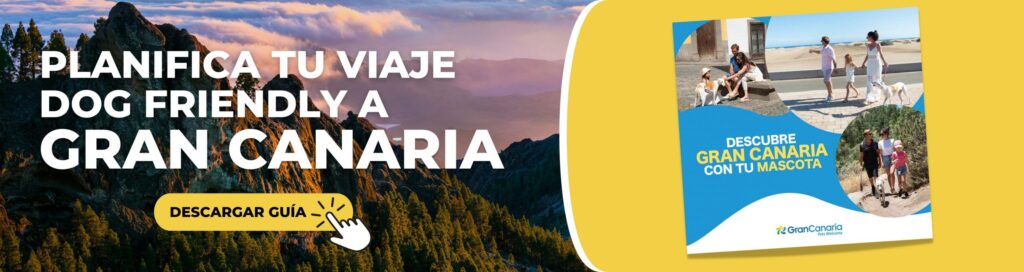 guia esencial para viajar a canarias con perro