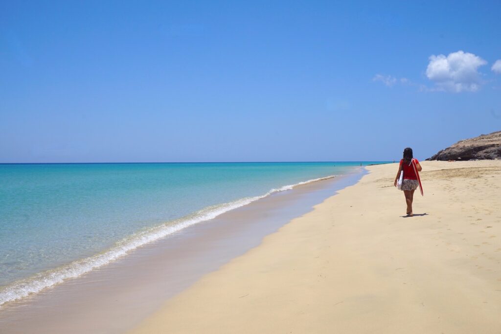 islas canarias guia imprescindible para tu viaje