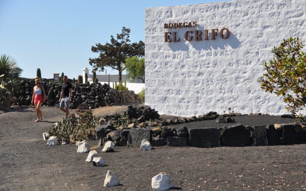 descubre bodega el grifo lanzarote tradicion vinicola en la isla