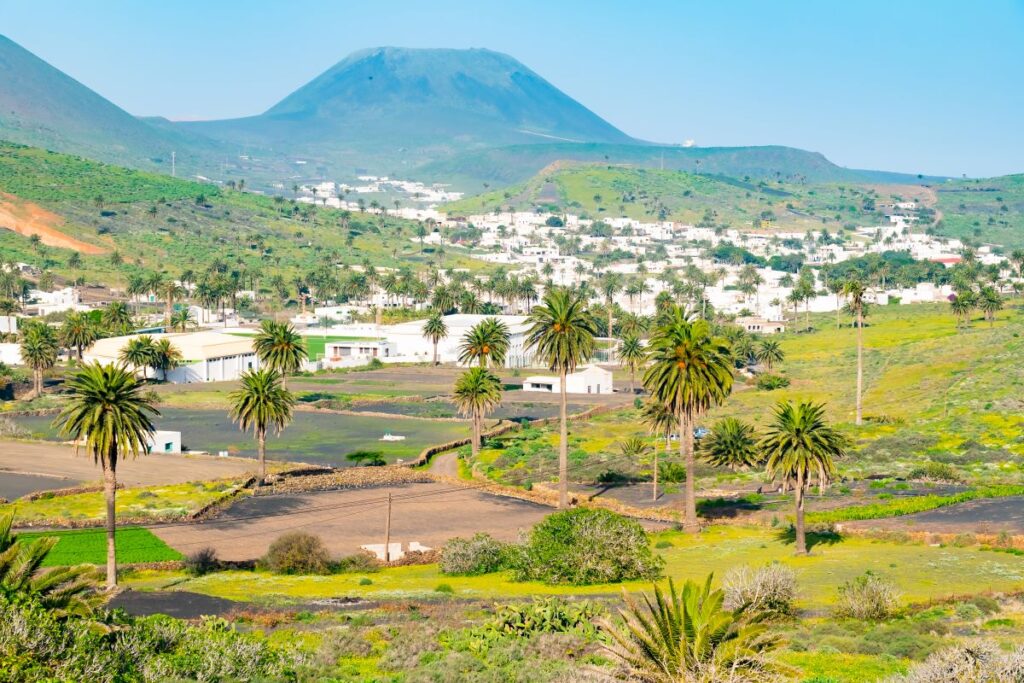 descubriendo el valle de las mil palmeras lanzarote
