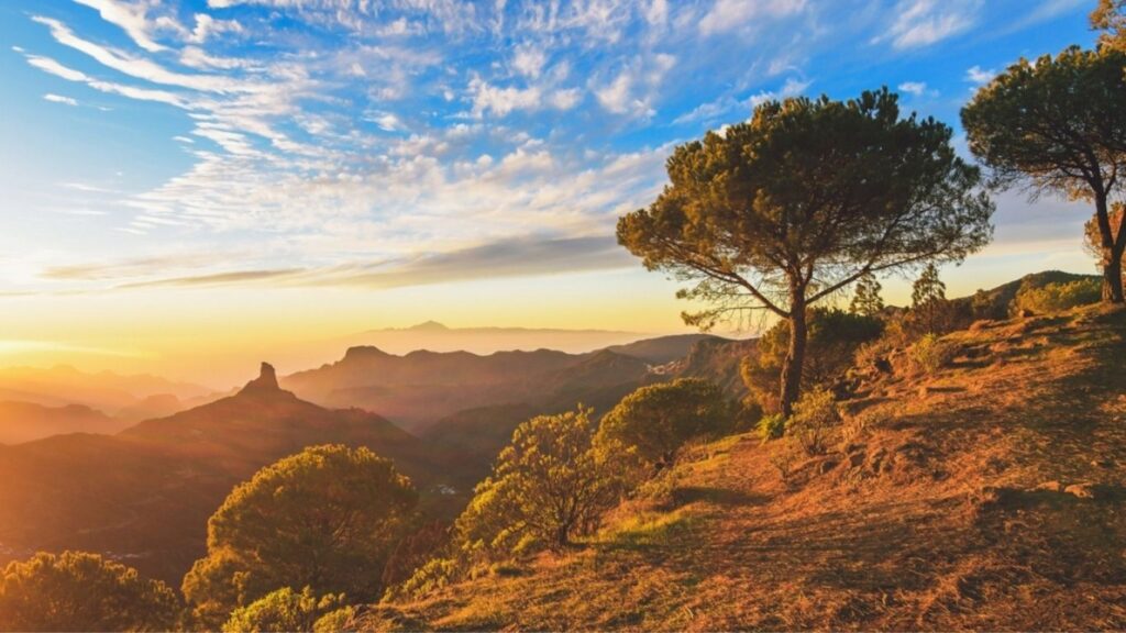 explora la zona turistica en gran canaria descubre sus maravillas