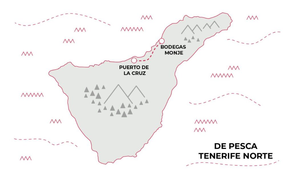 guia de zonas para pescar en tenerife