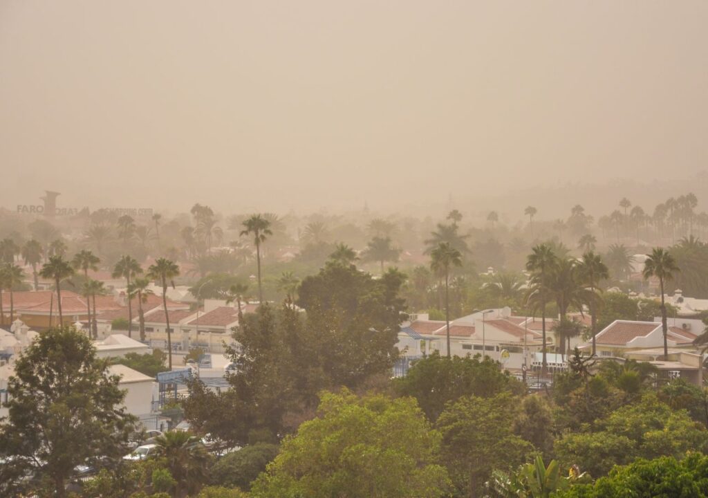 impacto de la calima en fuerteventura efectos y previsiones