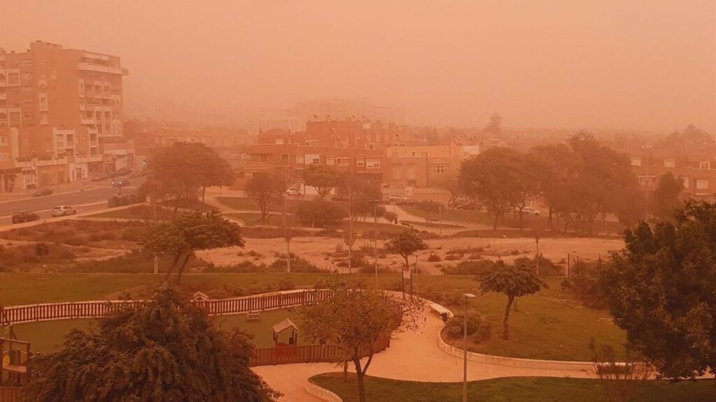 impacto de la calima en las palmas situacion actual y previsiones