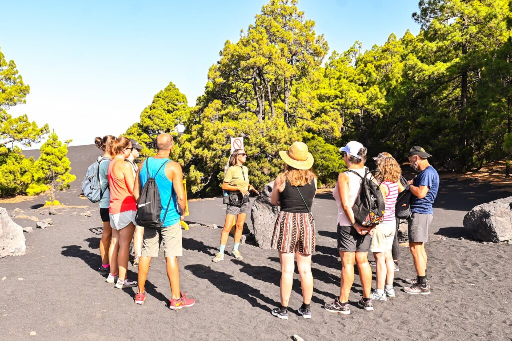pasion las palmas guia para hacer contactos y amigos en canarias