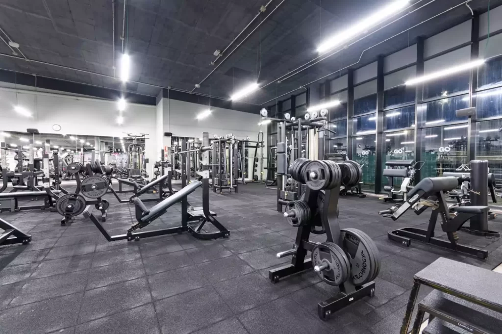 tu guia definitiva de gimnasios en las palmas