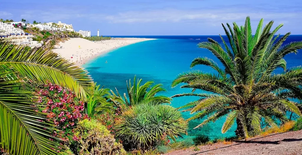 guia completa para viajes entre islas canarias