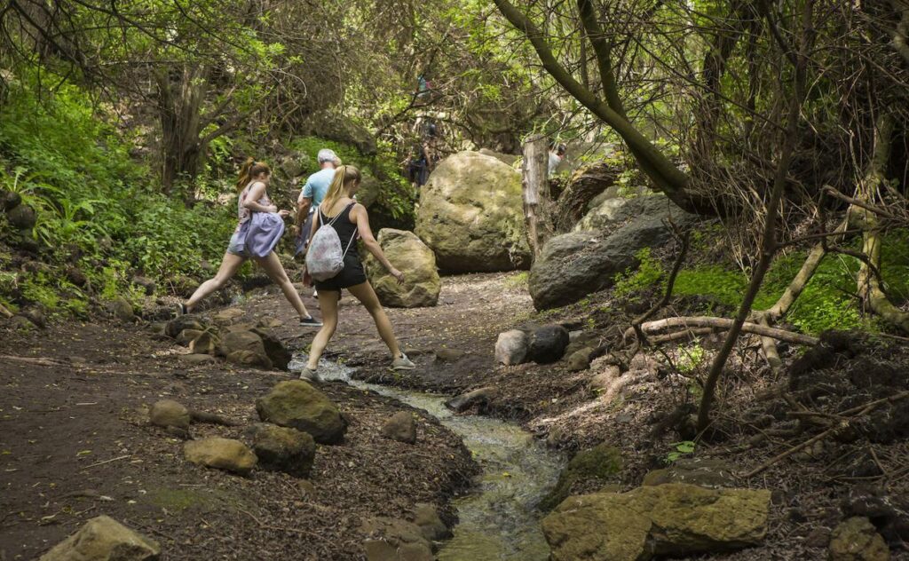 descubre las mejores caminatas en gran canaria
