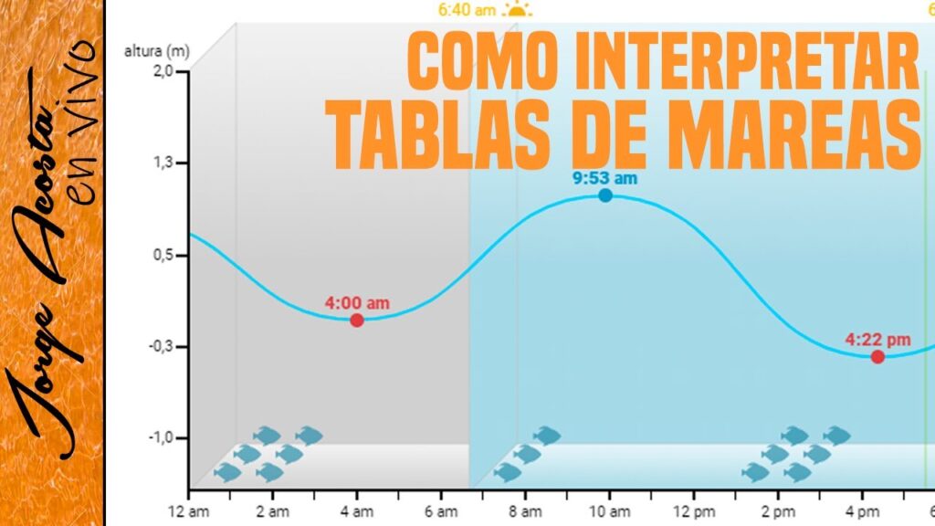 tabla de mareas maspalomas guia completa para navegantes y pescadores