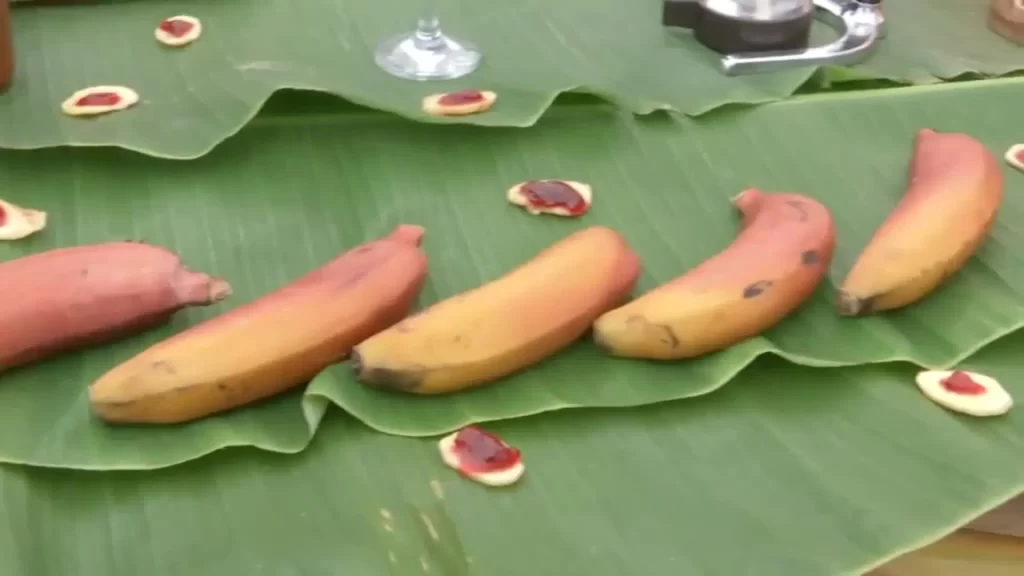 platano rojo canarias un tesoro por descubrir