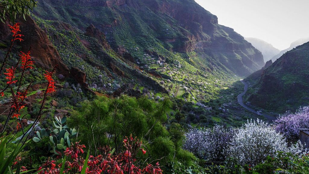 cuevas guayadeque descubre su belleza natural