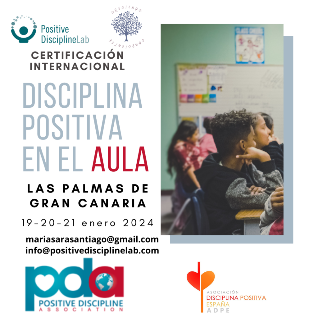 mejor taller de las palmas de gran canaria 2024 2