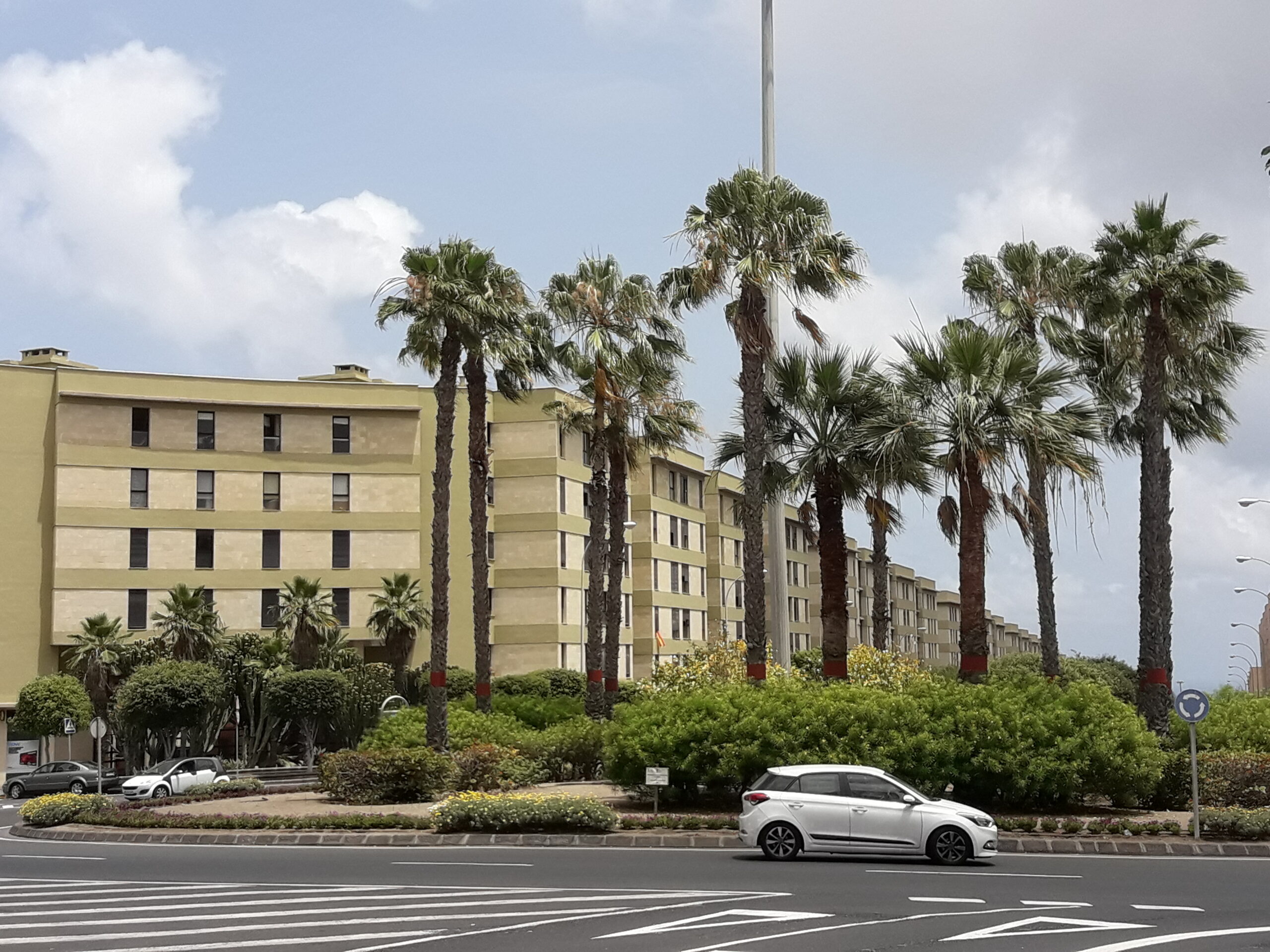 siete palmas gran canaria todo lo que necesitas saber scaled