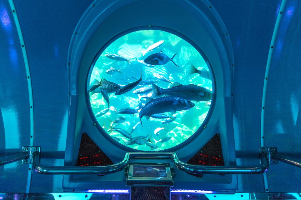 submarino mogan aventura submarina en gran canaria