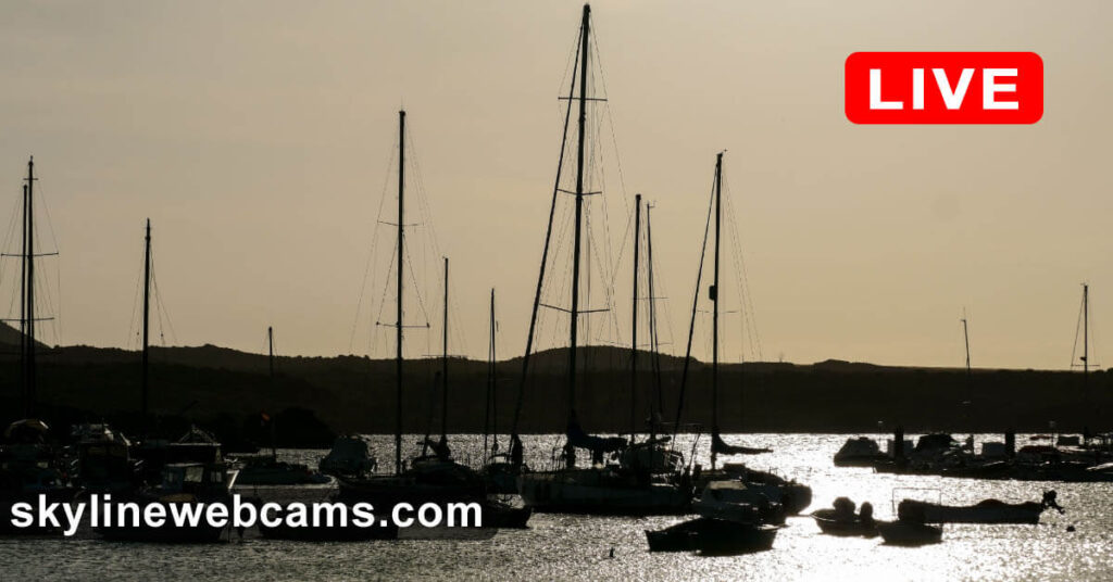 webcam las galletas en vivo