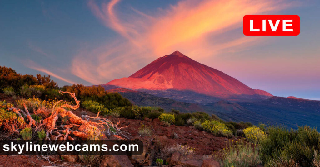 webcam teide camaras en vivo y estado actual