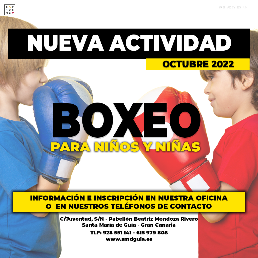 boxeo en gran canaria guia completa de centros y clases