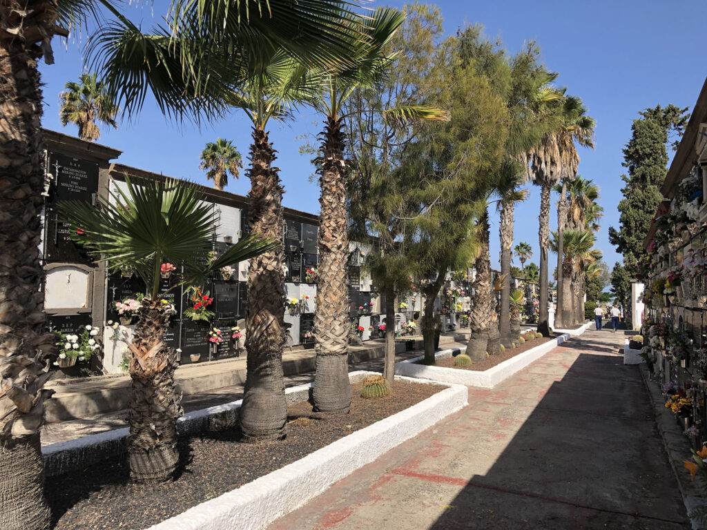cementerio san lazaro las palmas