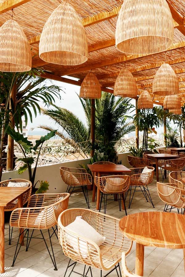 nativo las palmas descubre su esencia gastronomica