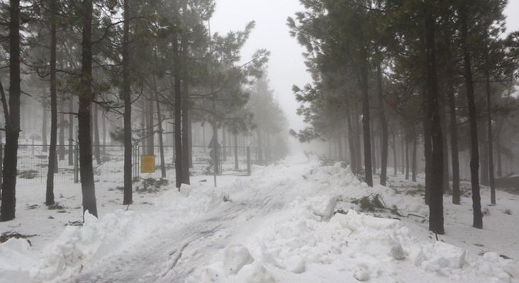 nieve en gran canaria 2025 pronosticos y novedades